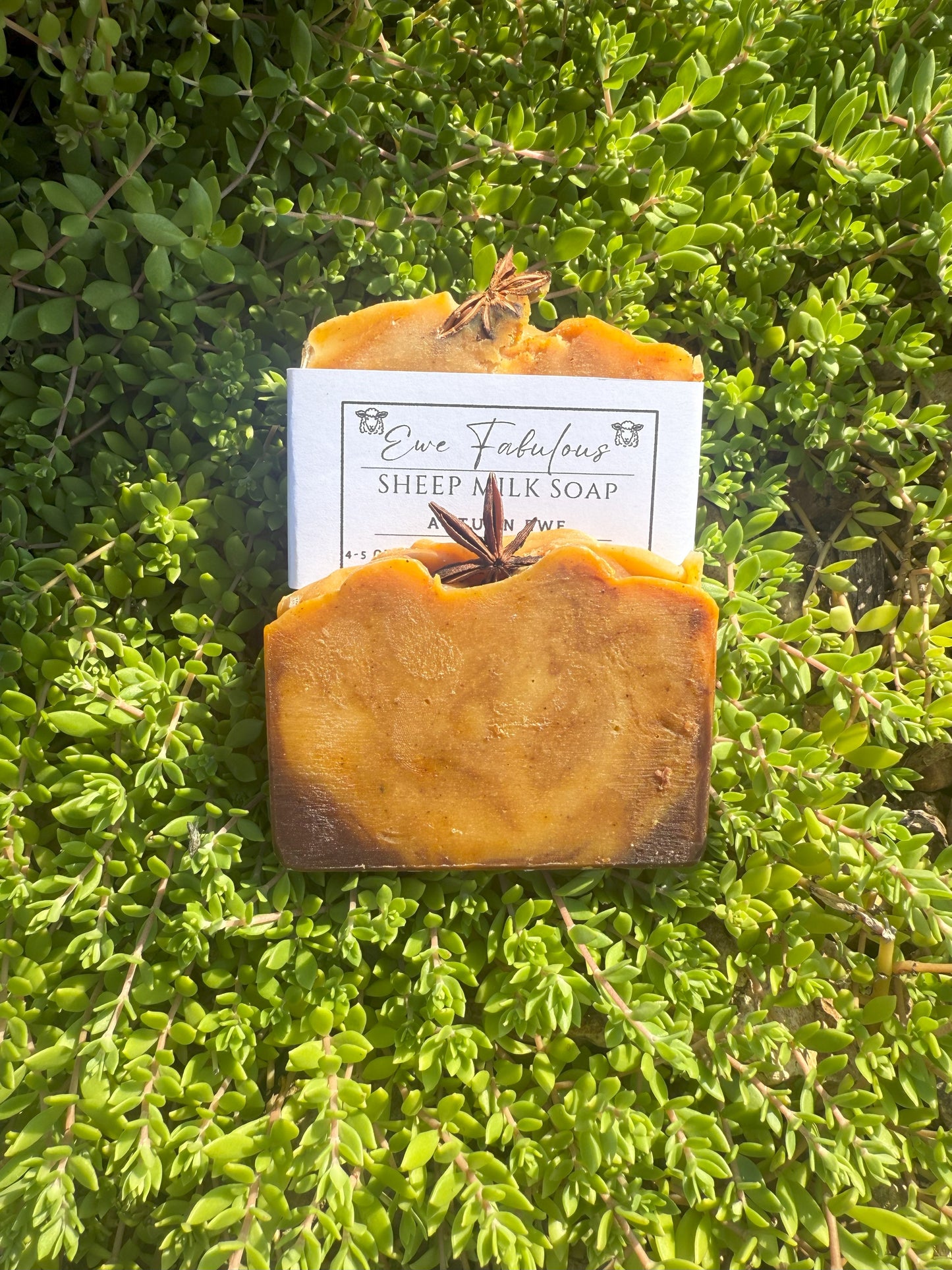 Autumn Ewe – Fall Sheep Milk Soap